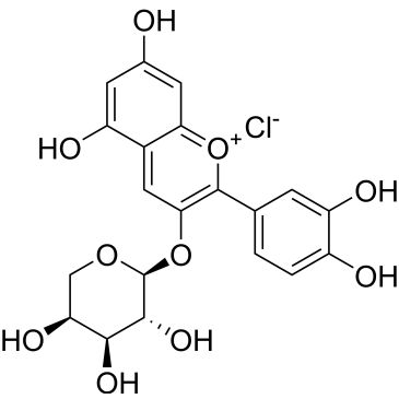 CS-0103762