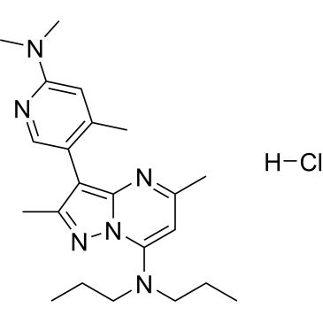 CS-0104228