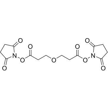 CS-0104991