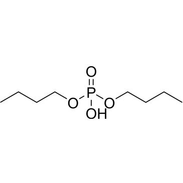 CS-0113589