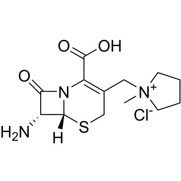 CS-0113683