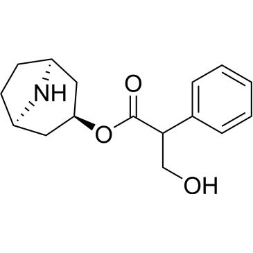 CS-0113853