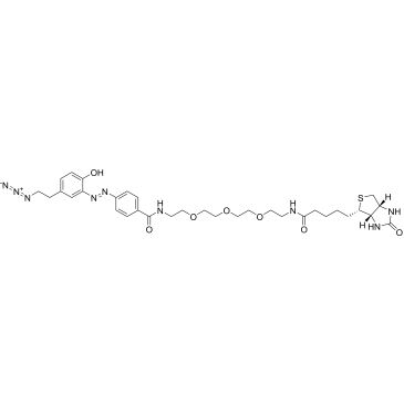 CS-0115223