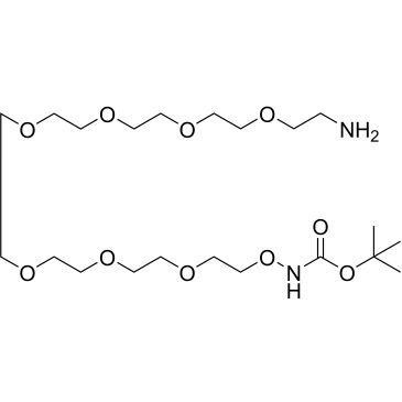 CS-0115261