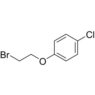 CS-0117207