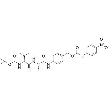 CS-0119068