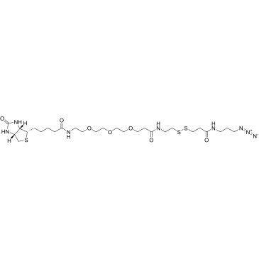 CS-0119225