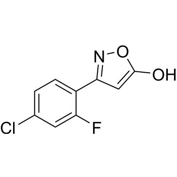 CS-0121991