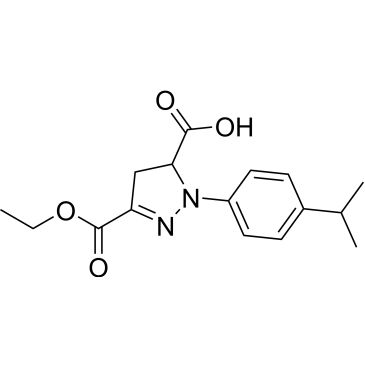 CS-0125977