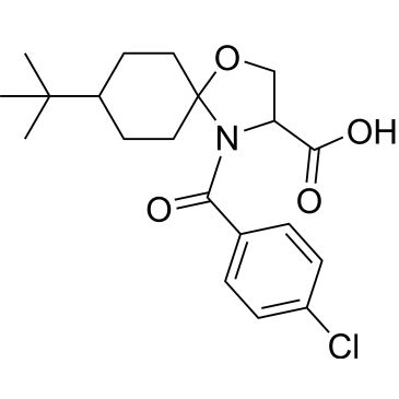 CS-0126253