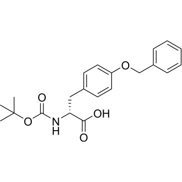 CS-0128339