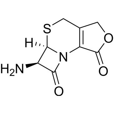 CS-0129191