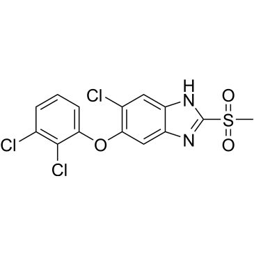 CS-0129535