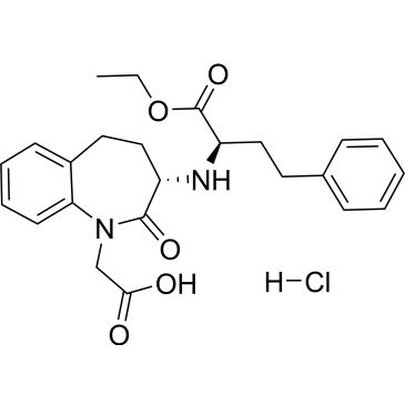 CS-0135569