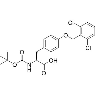 CS-0136338