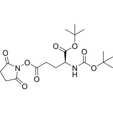 CS-0137337