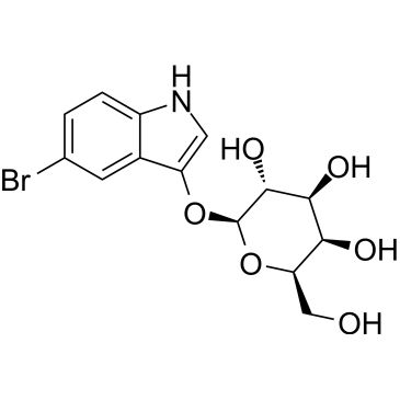 CS-0137503