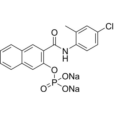 CS-0137664