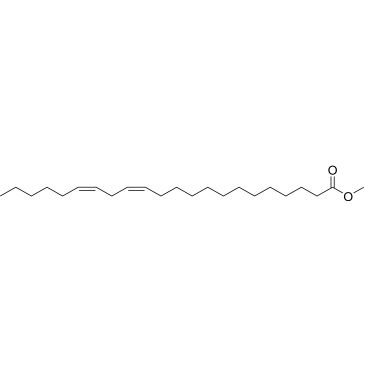 CS-0137746