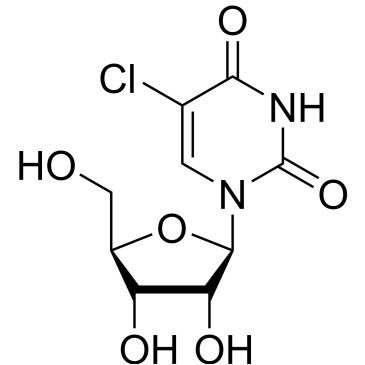 CS-0141691
