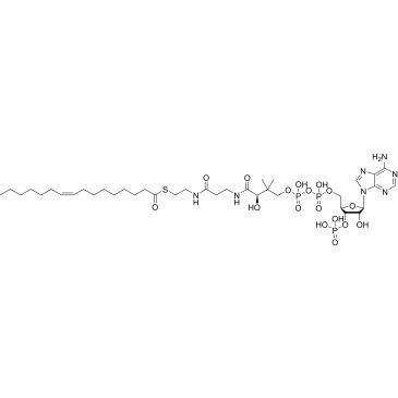CS-0141903