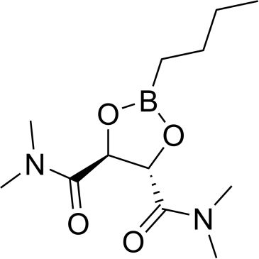 CS-0146056