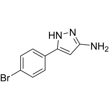 CS-0146988