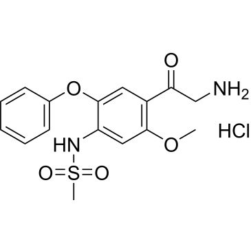 CS-0150601