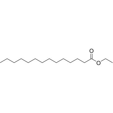 CS-0152228