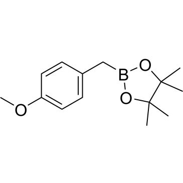 CS-0153821