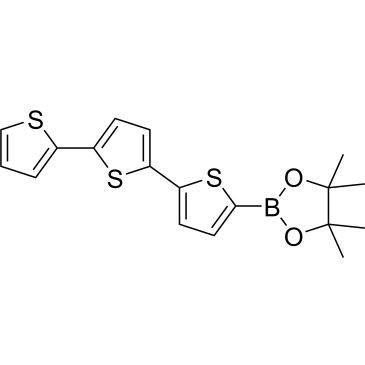CS-0153850