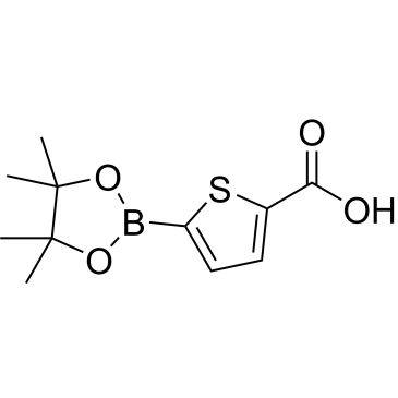 CS-0153865