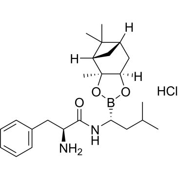 CS-0154142