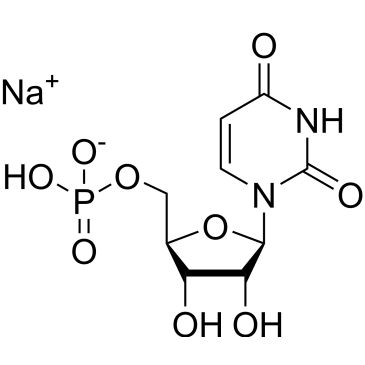 CS-0155619