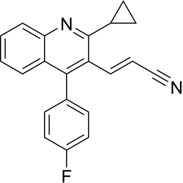 CS-0156041