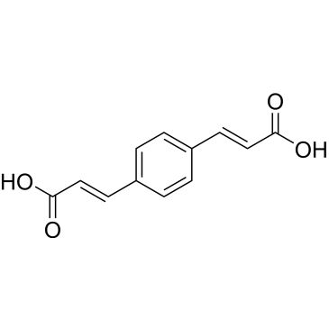 CS-0157569