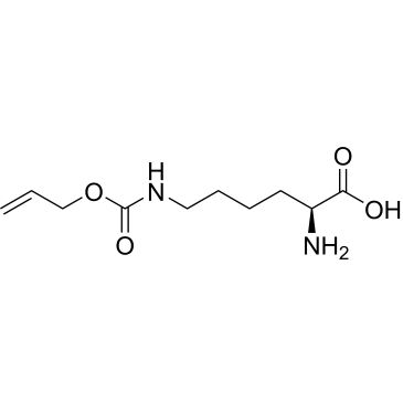 CS-0157976