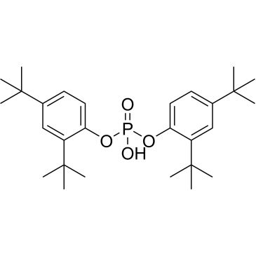 CS-0161519