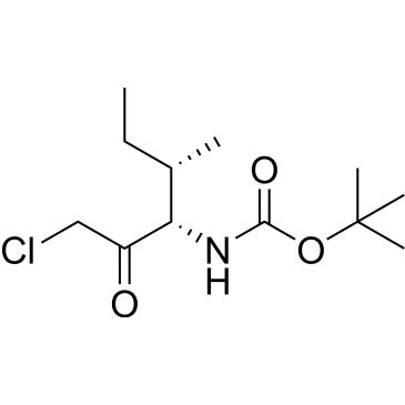 CS-0162407