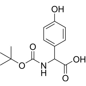 CS-0169312