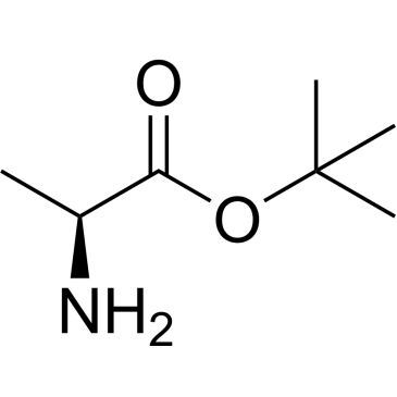 CS-0169316