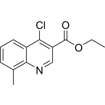 CS-0169619