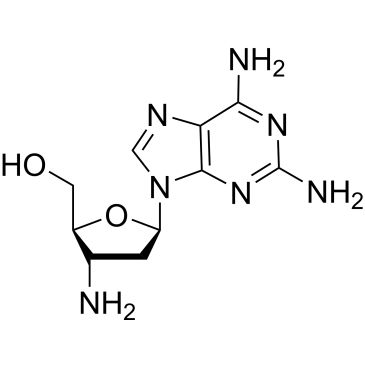 CS-0170881