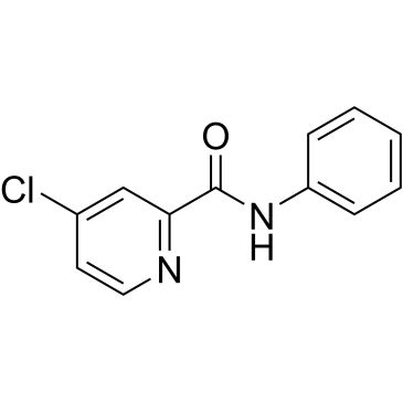CS-0171404