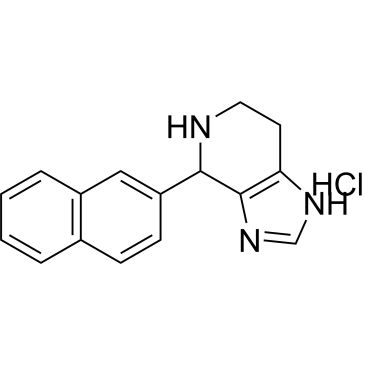 CS-0173100