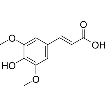 CS-0173384