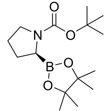 CS-0173804