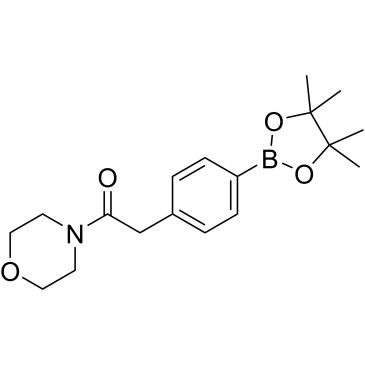CS-0173825