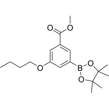 CS-0174370