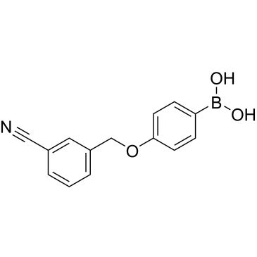 CS-0174579